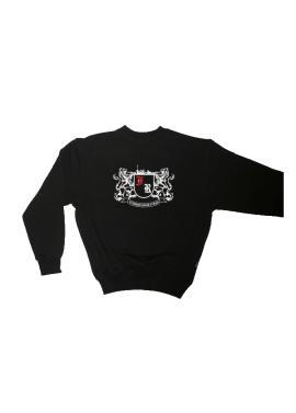 Sweater FR sterker door strijd